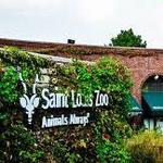 Saint Louis Zoo