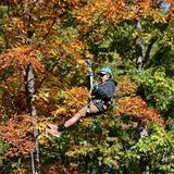 Smoky Mountain Ziplines