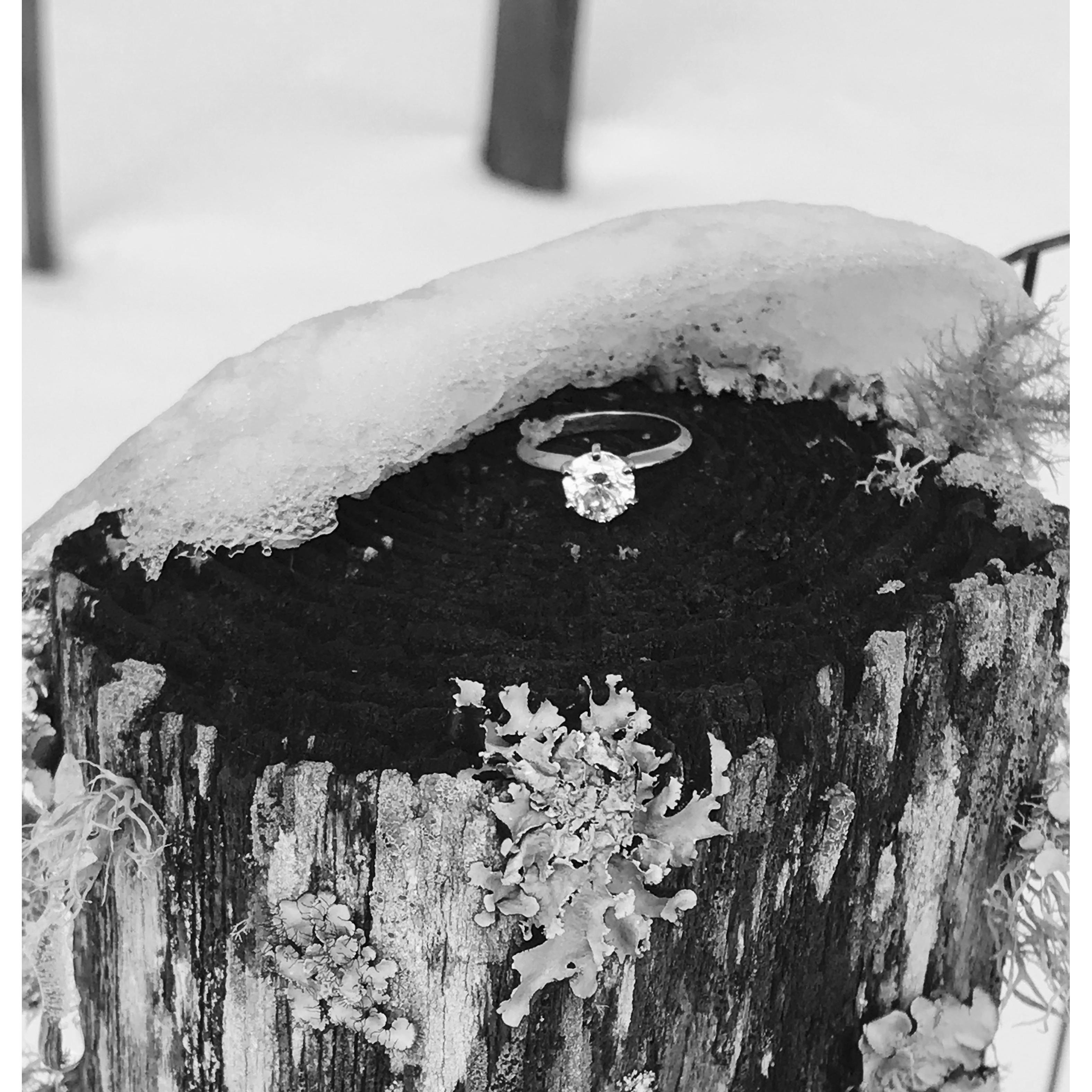 I'd say it was worth the wait.