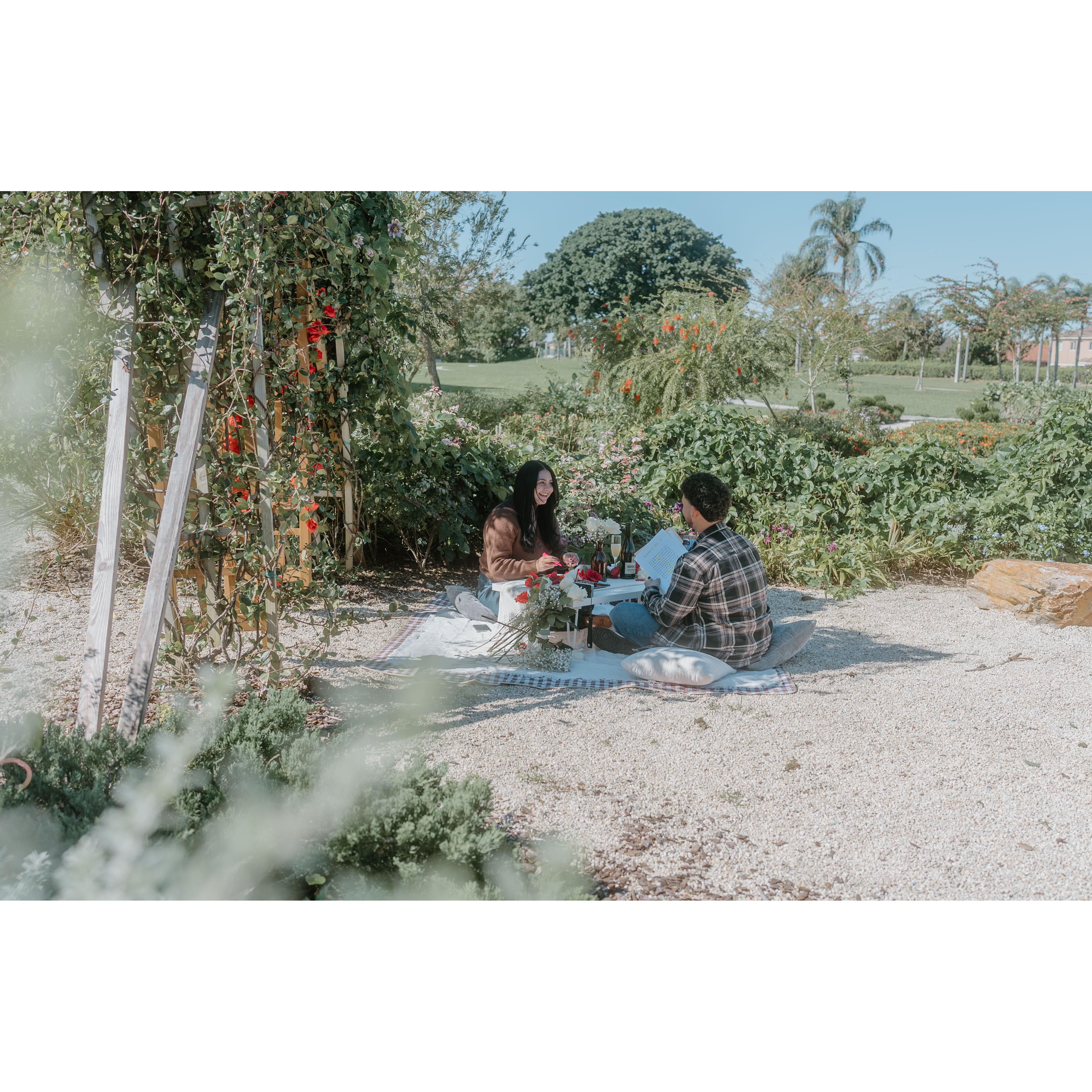 christian did a picnic to ask krishna to be his girlfriend