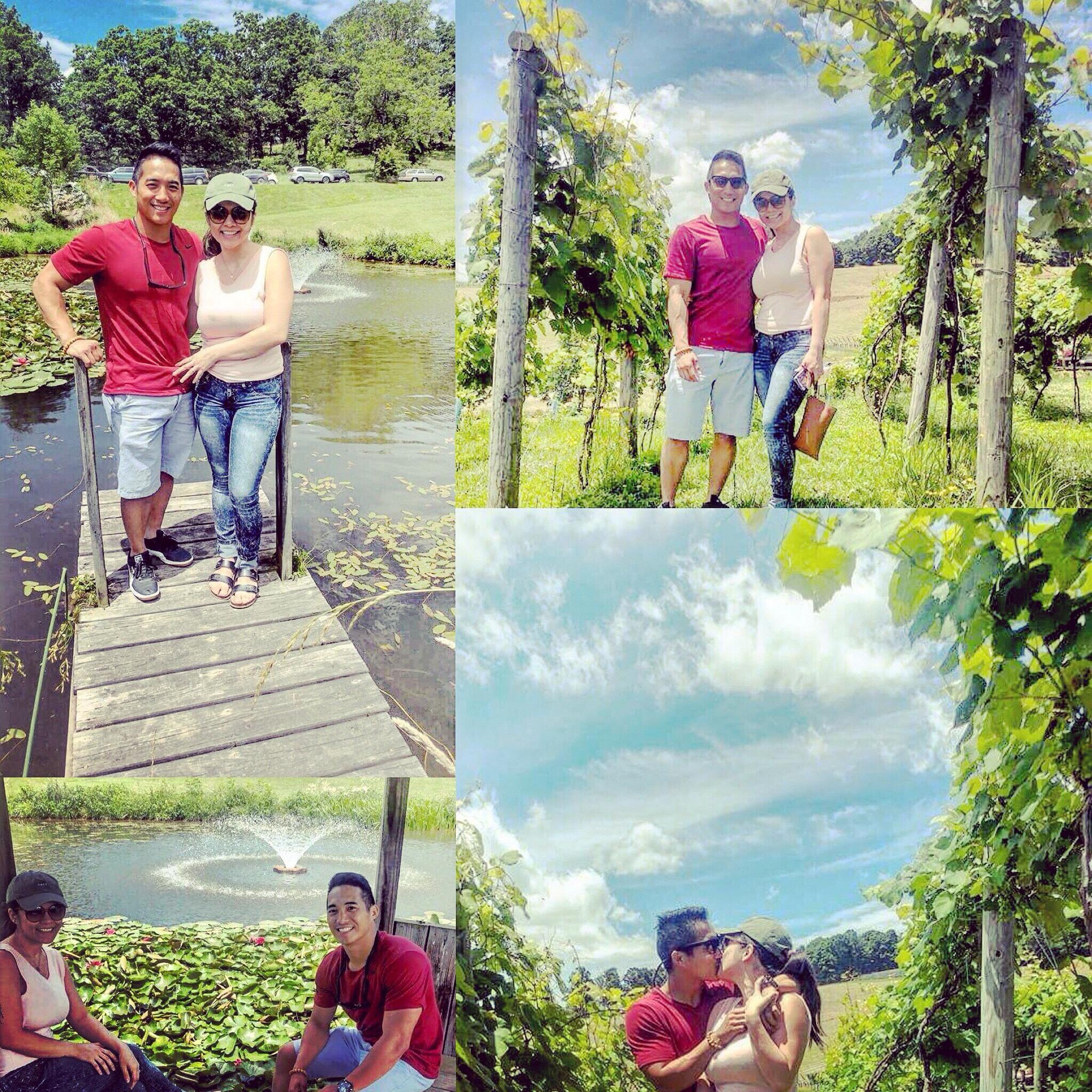 vineyard