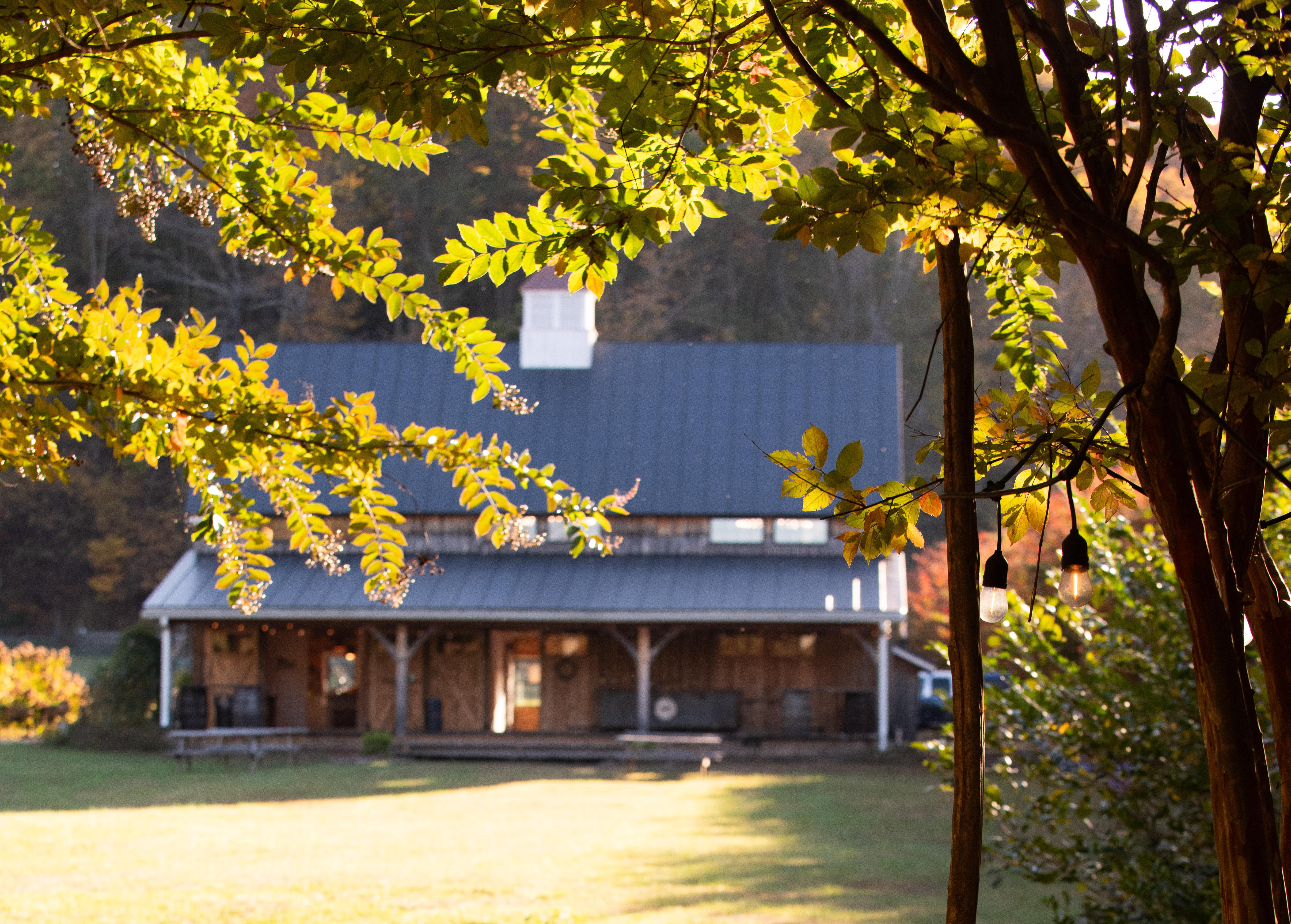 The Wedding Website of Brad Lentz and Kat Sledd