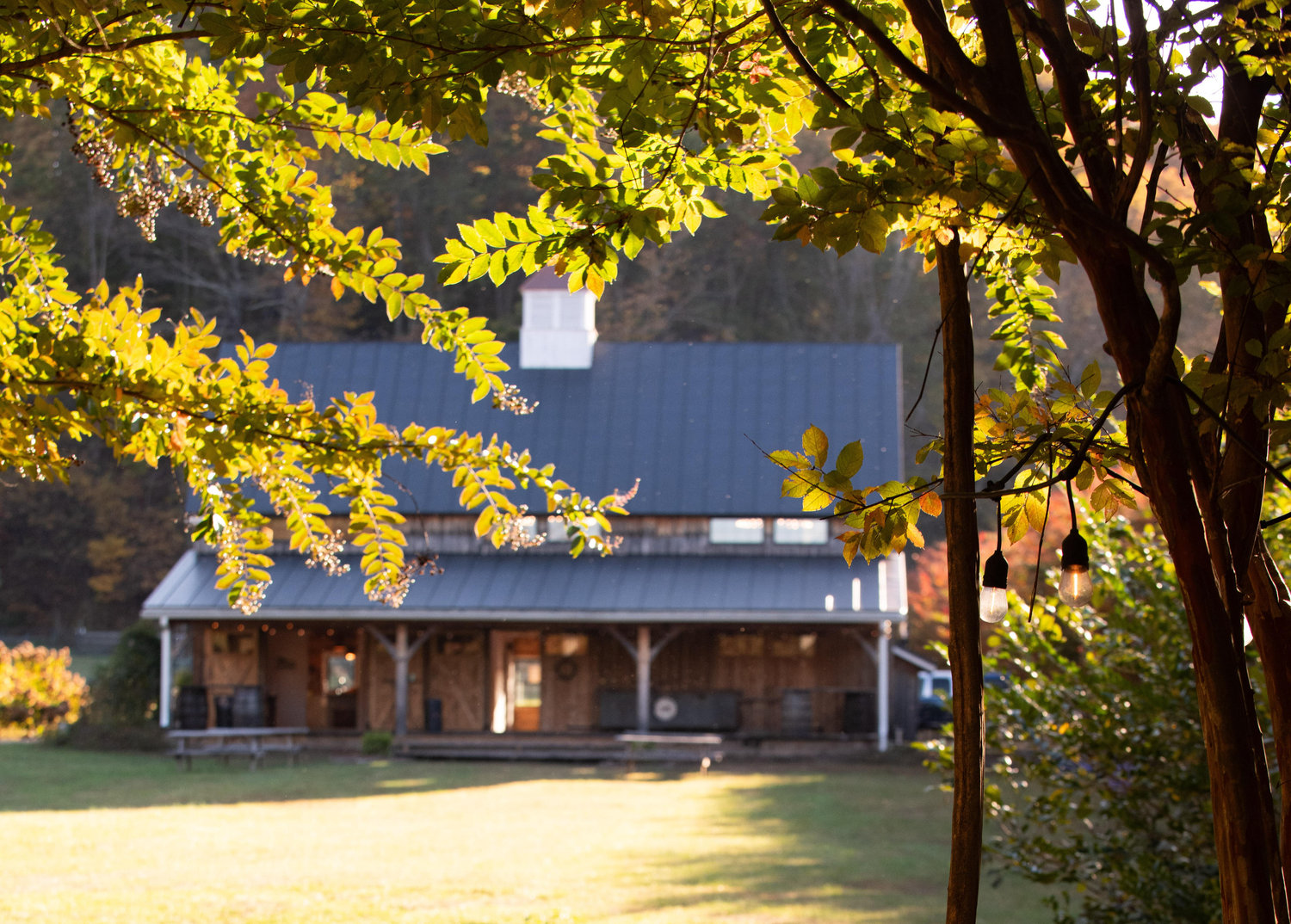 The Wedding Website of Brad Lentz and Kat Sledd
