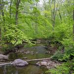 Ridley Creek State Park