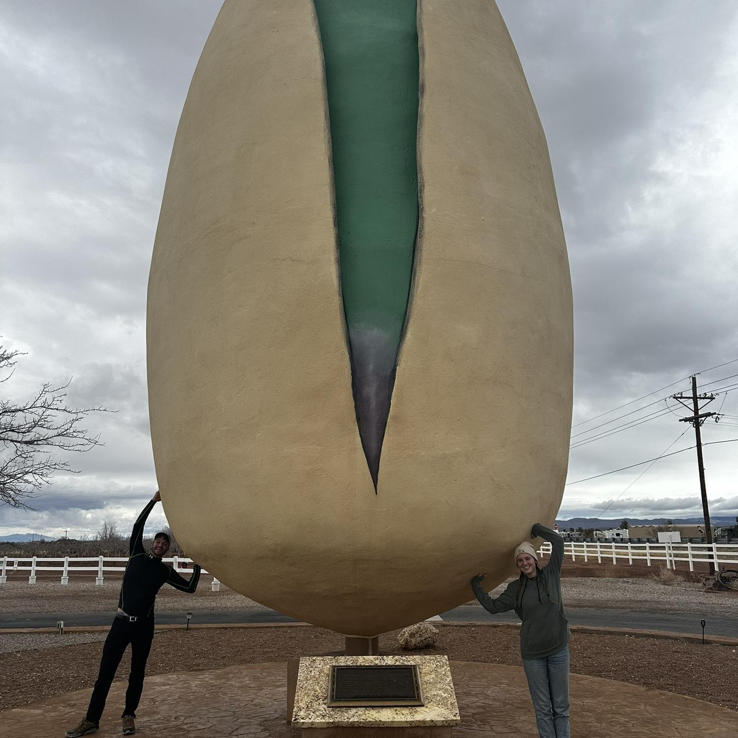 World's largest pistachio!!