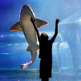 Oklahoma Aquarium