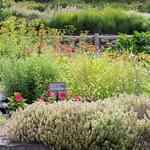 Cornell Botanic Gardens