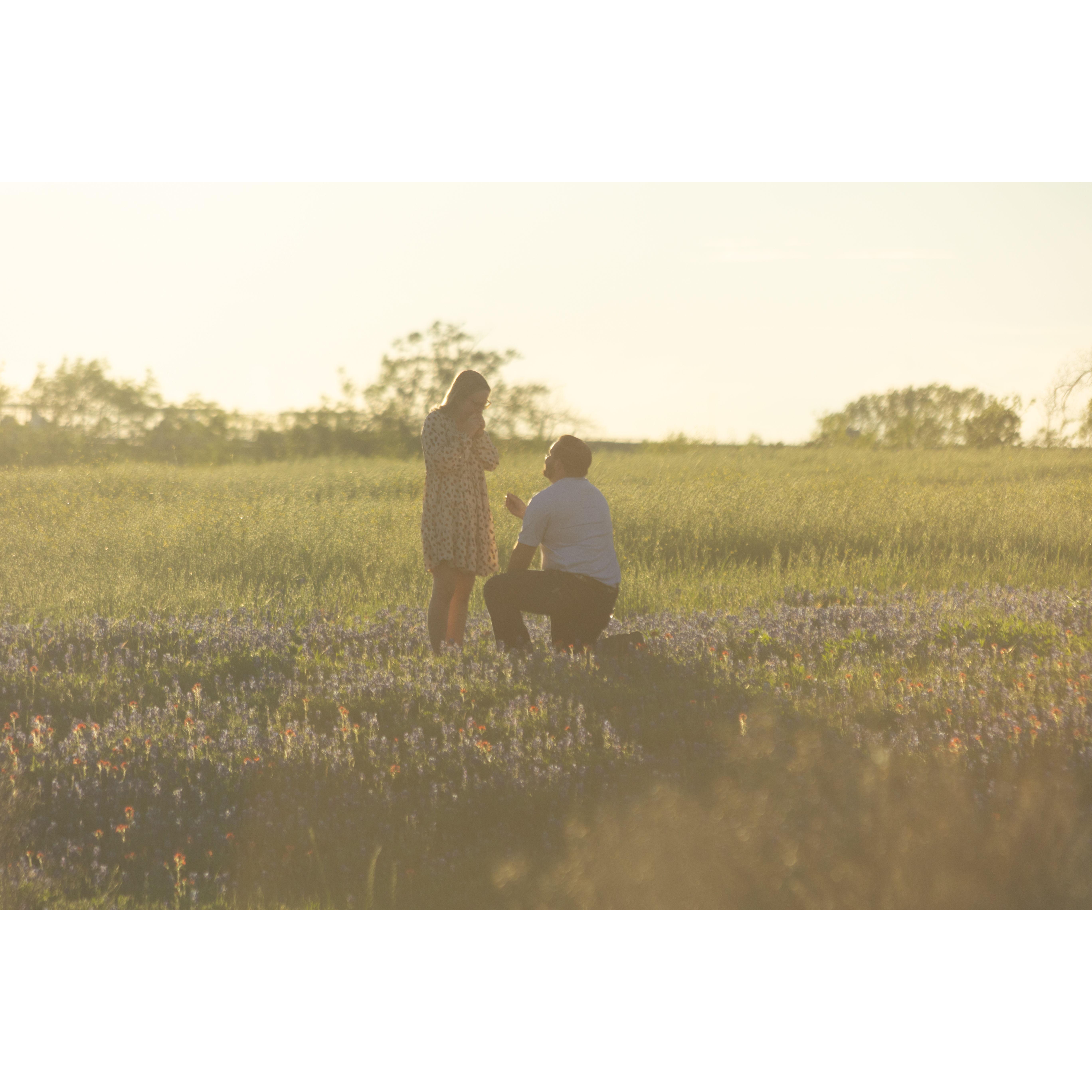 The proposal