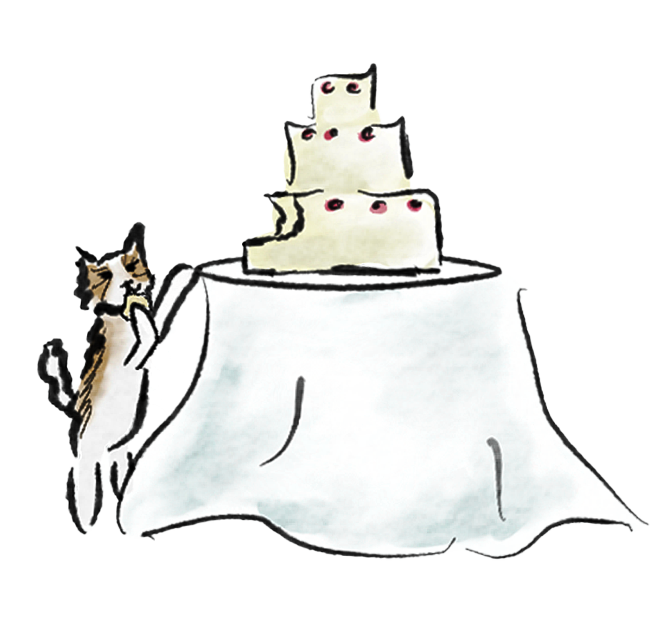 The Wedding Website of Kaitlyn Kasemodel and Spencer Ilstrup