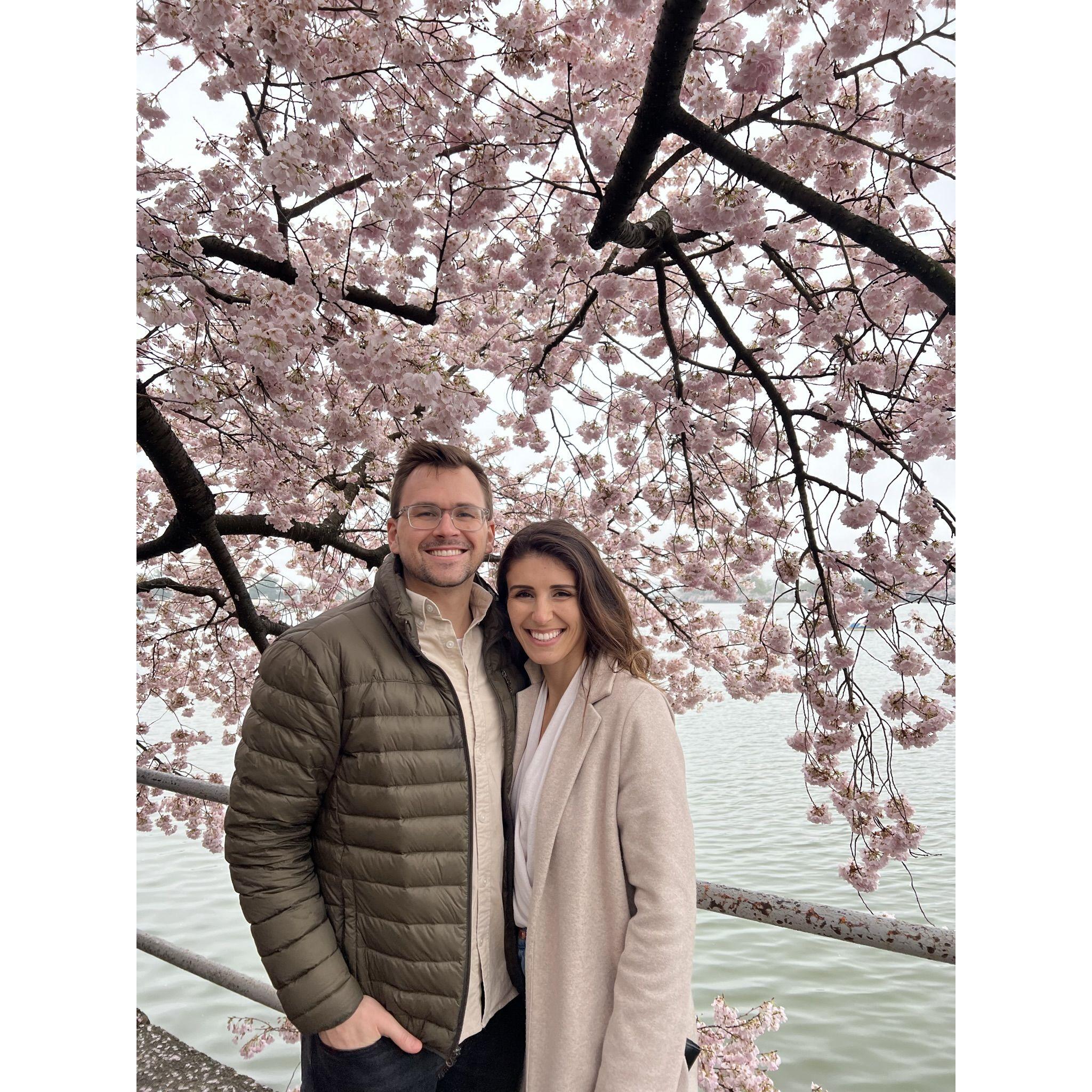 Cherry Blossom season. Photos by the the lovely Jess Holtsclaw