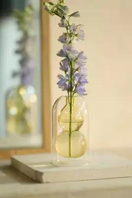 Bubble Cloche Glass Bud Vase