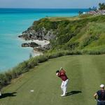 Hit the Greens