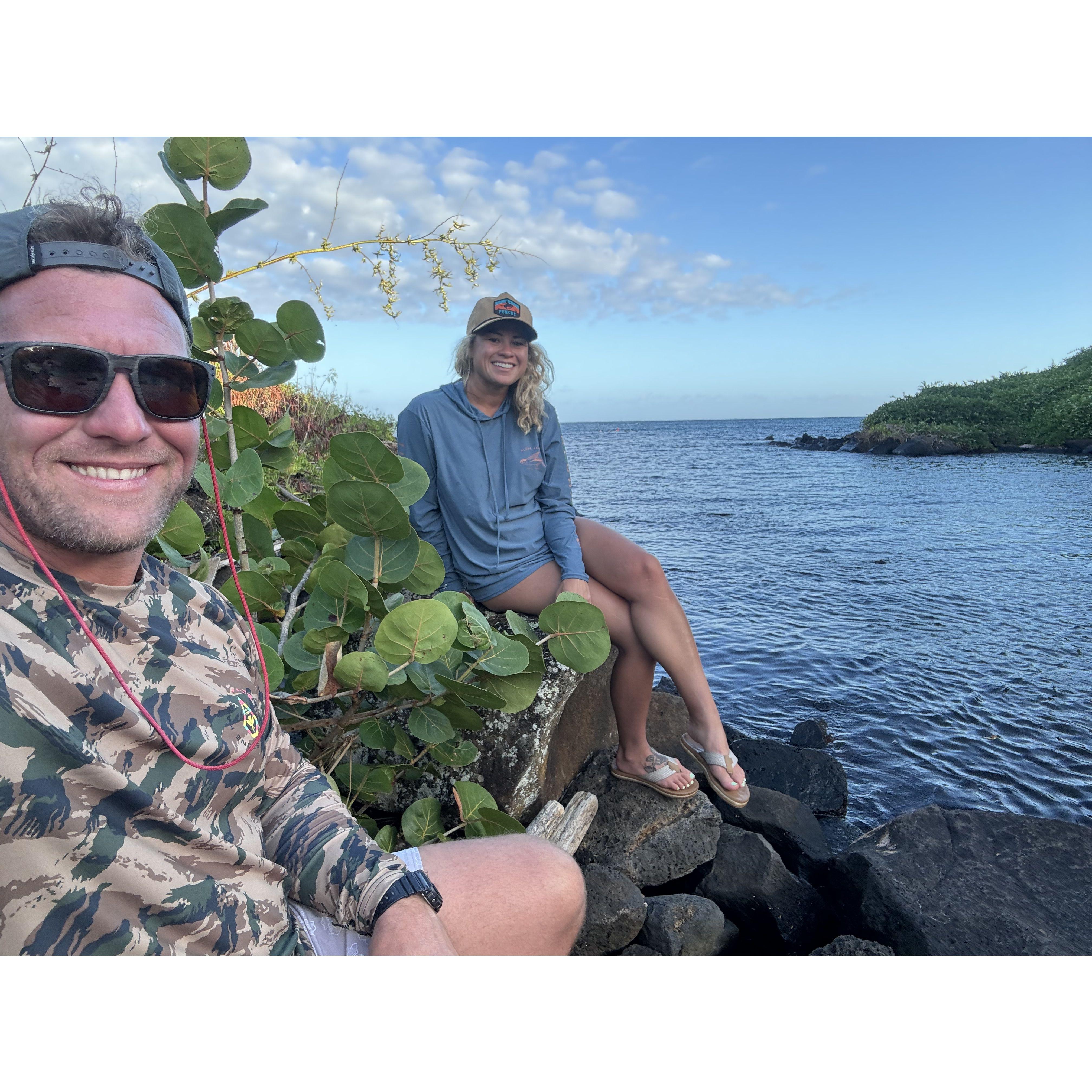 Turtle Watching