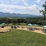 Living Water Winery & Vineyard