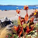 Alki Beach Park
