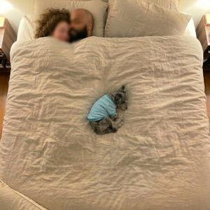 Evie King Kuddler - family fund for a king bed and mattress
