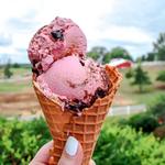 Moomers Homemade Ice Cream