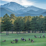 Estes Park 18-Hole Golf Course