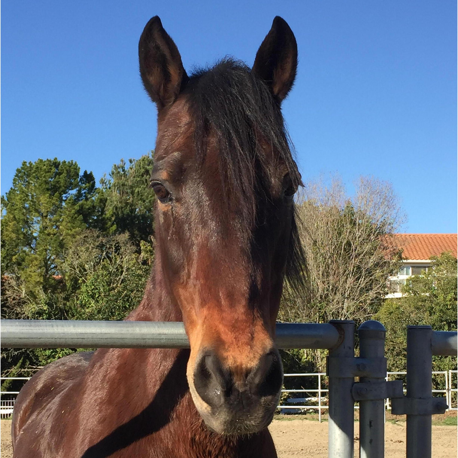 Promise Is inclined to like Geoff too :)
