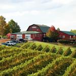 Carters Mountain Orchard and Country Store