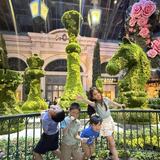 Bellagio Conservatory & Botanical Gardens