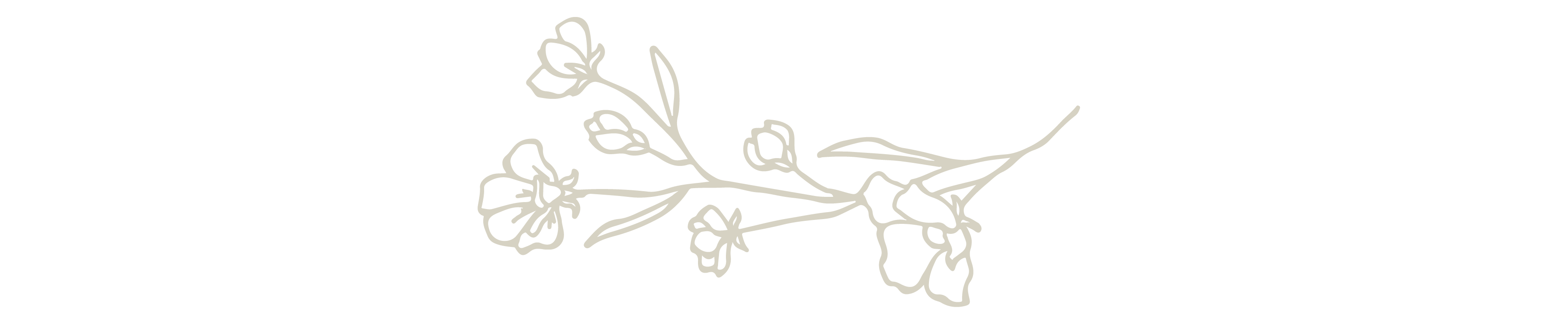 The Wedding Website of Rachel Ahlf and Tanner Swenson