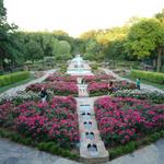 Botanical Research Institute of Texas