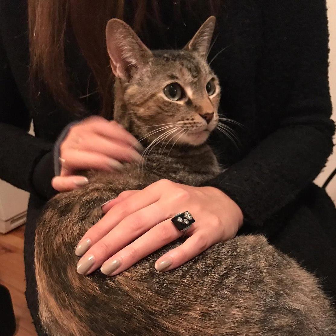 Explaining to Simone that we're getting married!
Home, November 2017