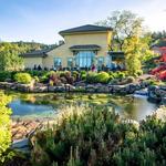 DANCIN Vineyards