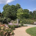JC Raulston Arboretum