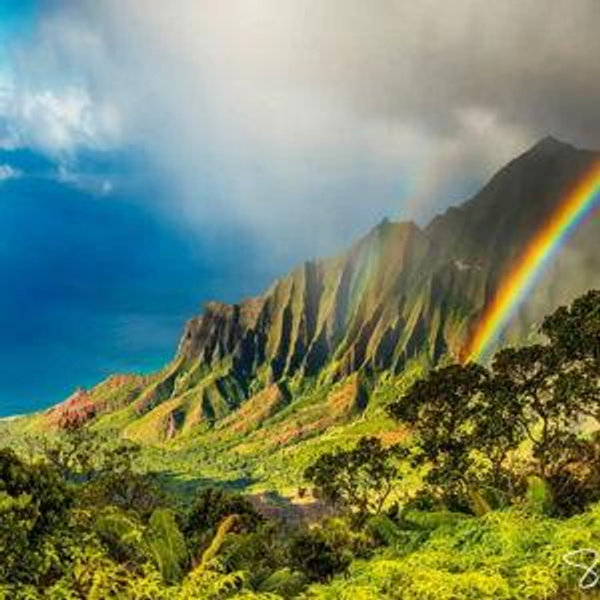 Hawaii honeymoon fund