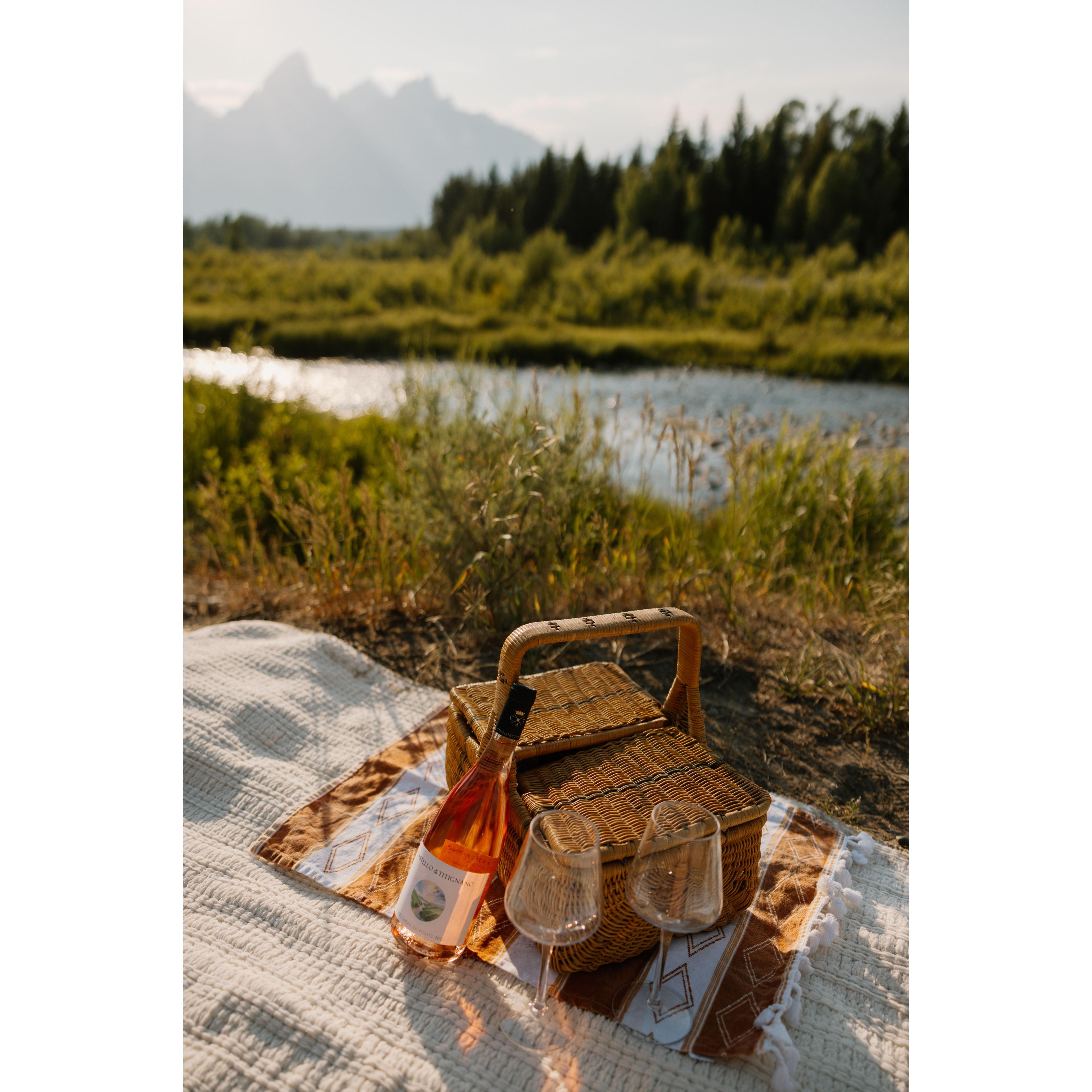 We love picnics, and have used this picnic basket every anniversary. So it was the perfect thing to add to our engagement photos!