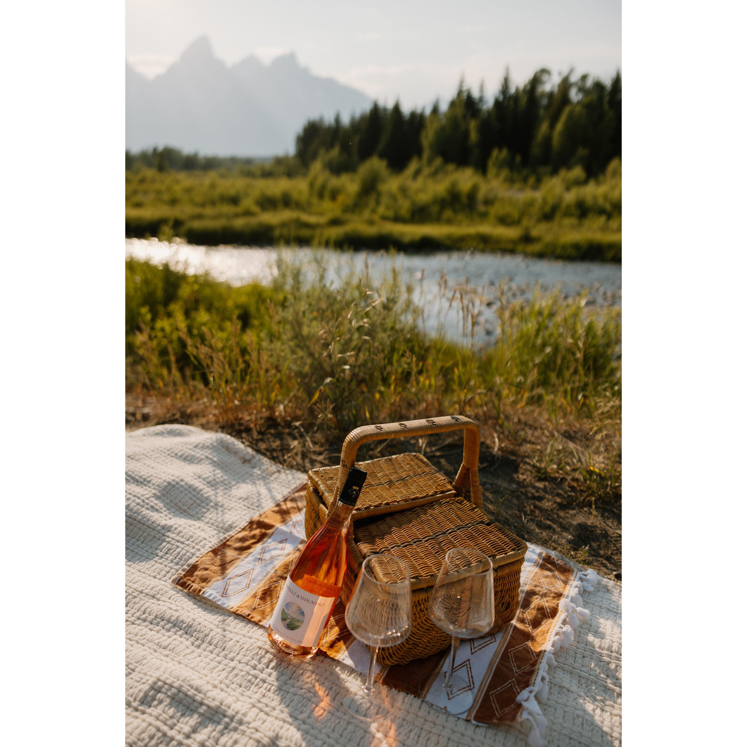 We love picnics, and have used this picnic basket every anniversary. So it was the perfect thing to add to our engagement photos!