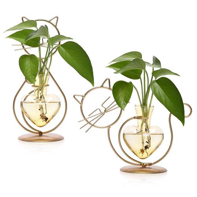 Plant Terrarium Plants Propagation Station Cat Lover Gifts for Women Home Office Decor Cat Desk Accessories
