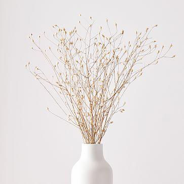 Dried Linum