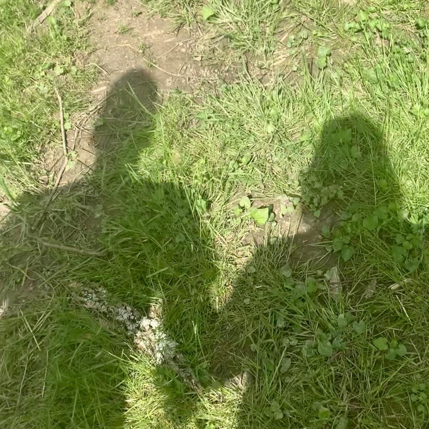 The first pic of us I shyly snapped on date #4.
Grant County Park April 24, 2022.