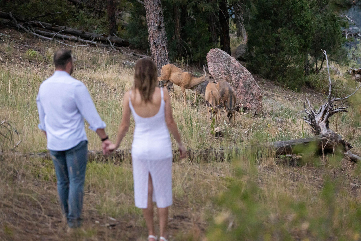 The Wedding Website of Leanne Weinheimer and Andrew Ghizzone