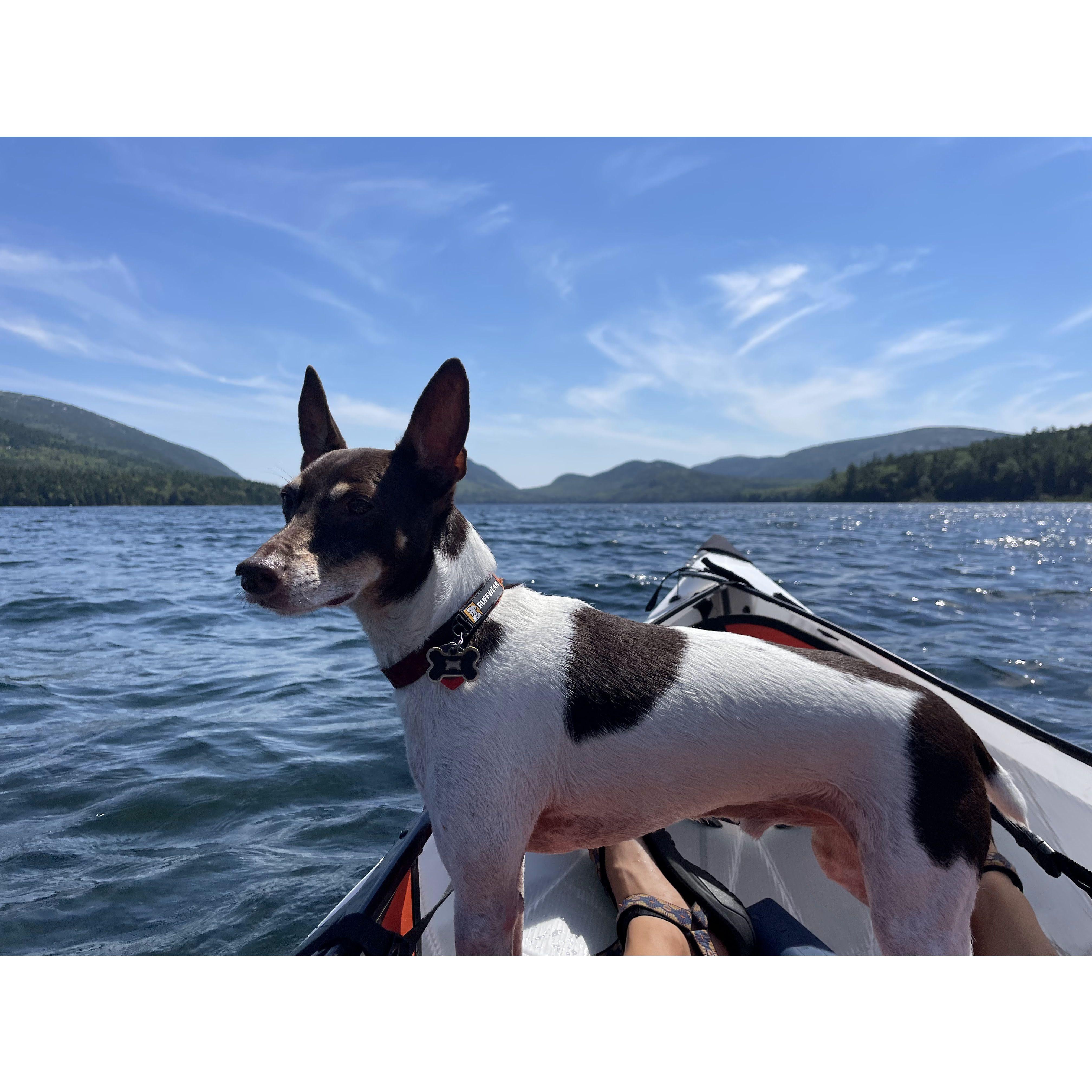 We love taking the kayaks out on the various lakes!