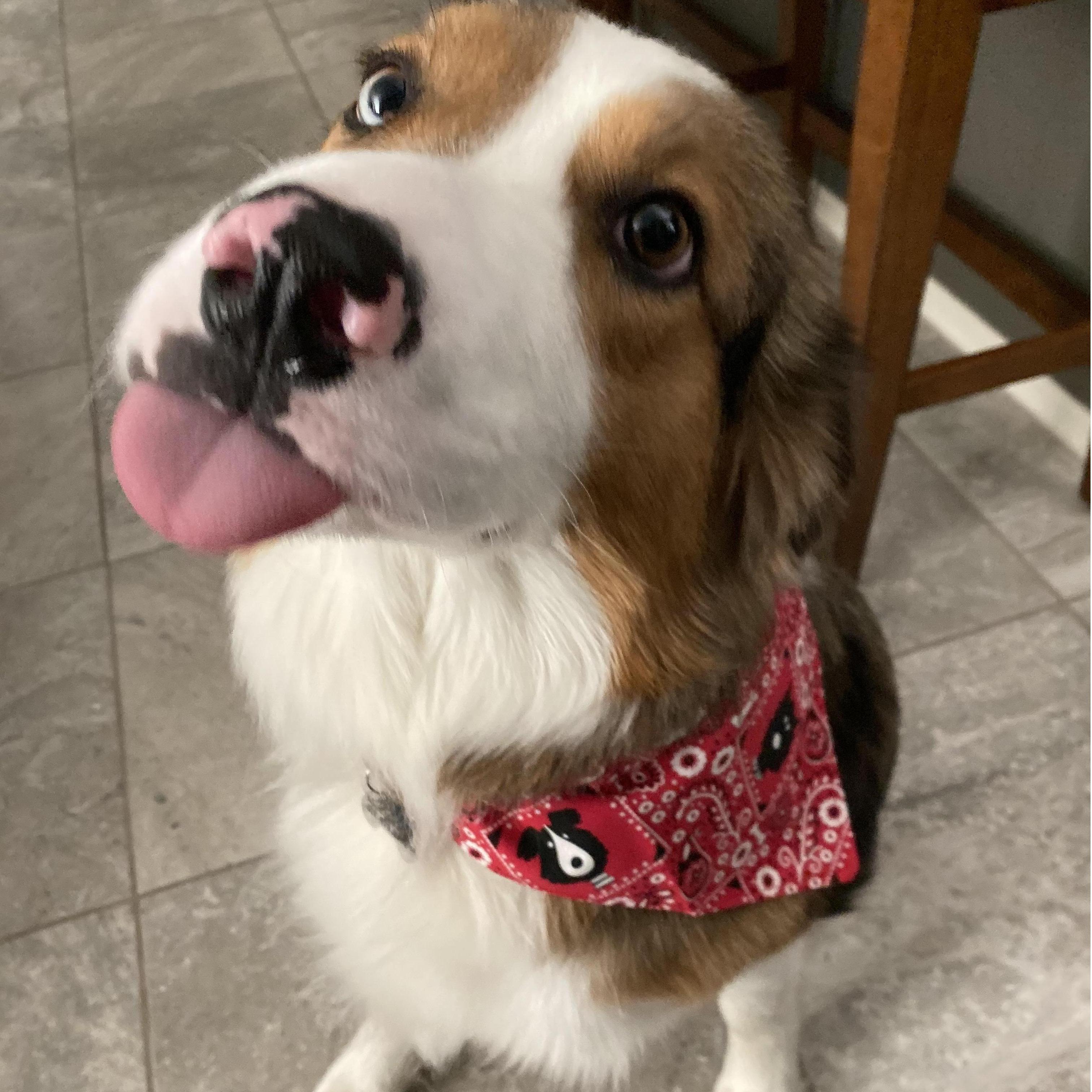 Our Sweet Boy!!