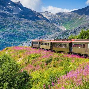 Excursion for honeymoon