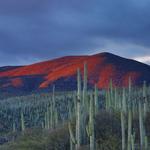 Santa Fe