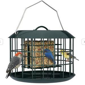 Kingsyard Metal Caged Squirrel Proof Suet Feeder: Green