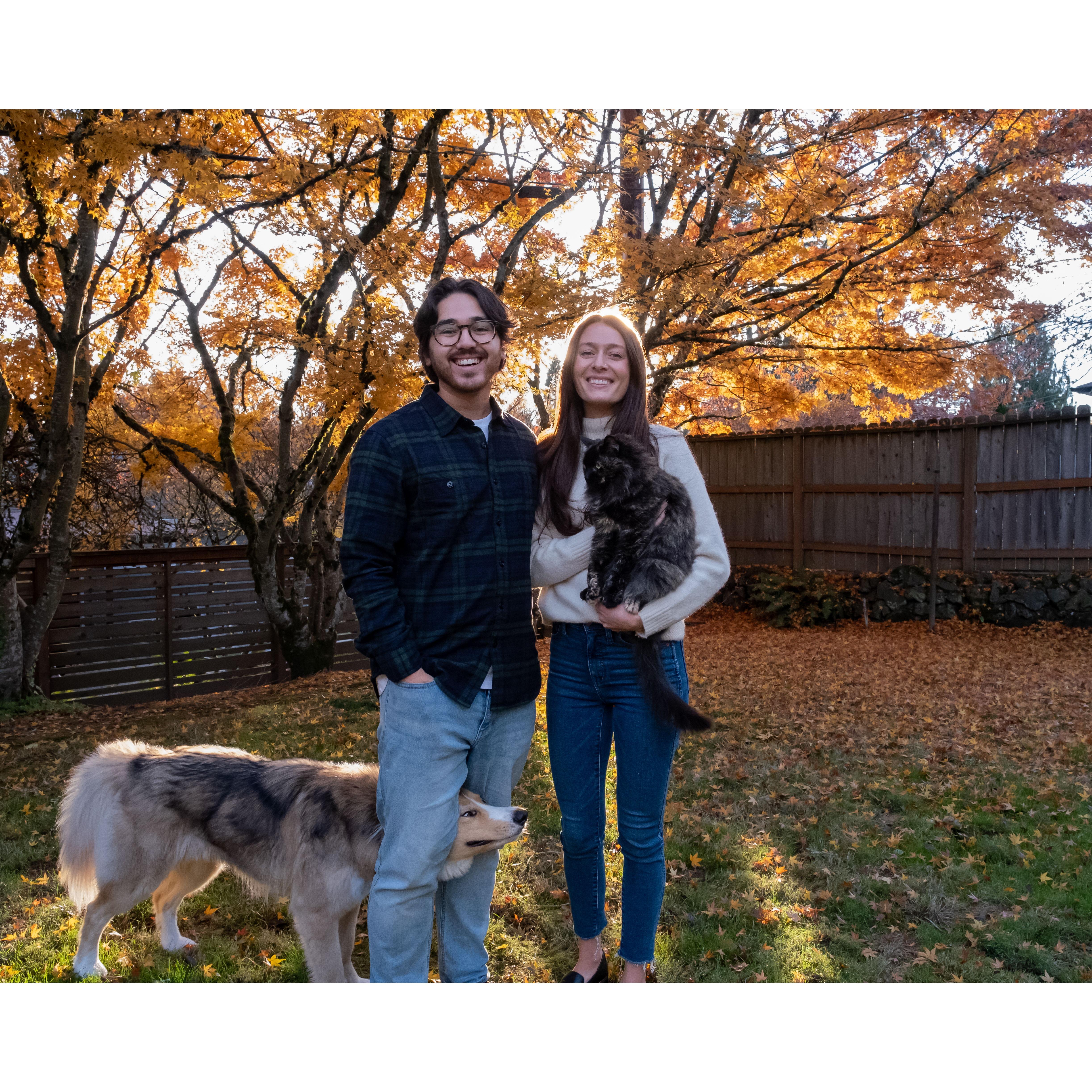 Our photogenic fur children 😂