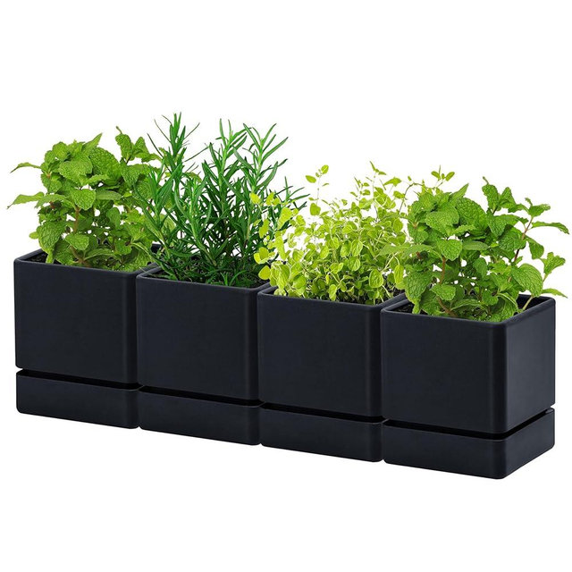D'vine Dev 4 Inch Herb Planter Pot, Plastic Planter with Drainage Holes and Saucer, Modern Decorative Gardening Pot for Indoor Plants, Flowers, Herbs, Succulents, Black, Set of 4, 76-Y-B4-1