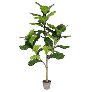 4' - Fiddle Tree - Planter Pot - 39 Leaves