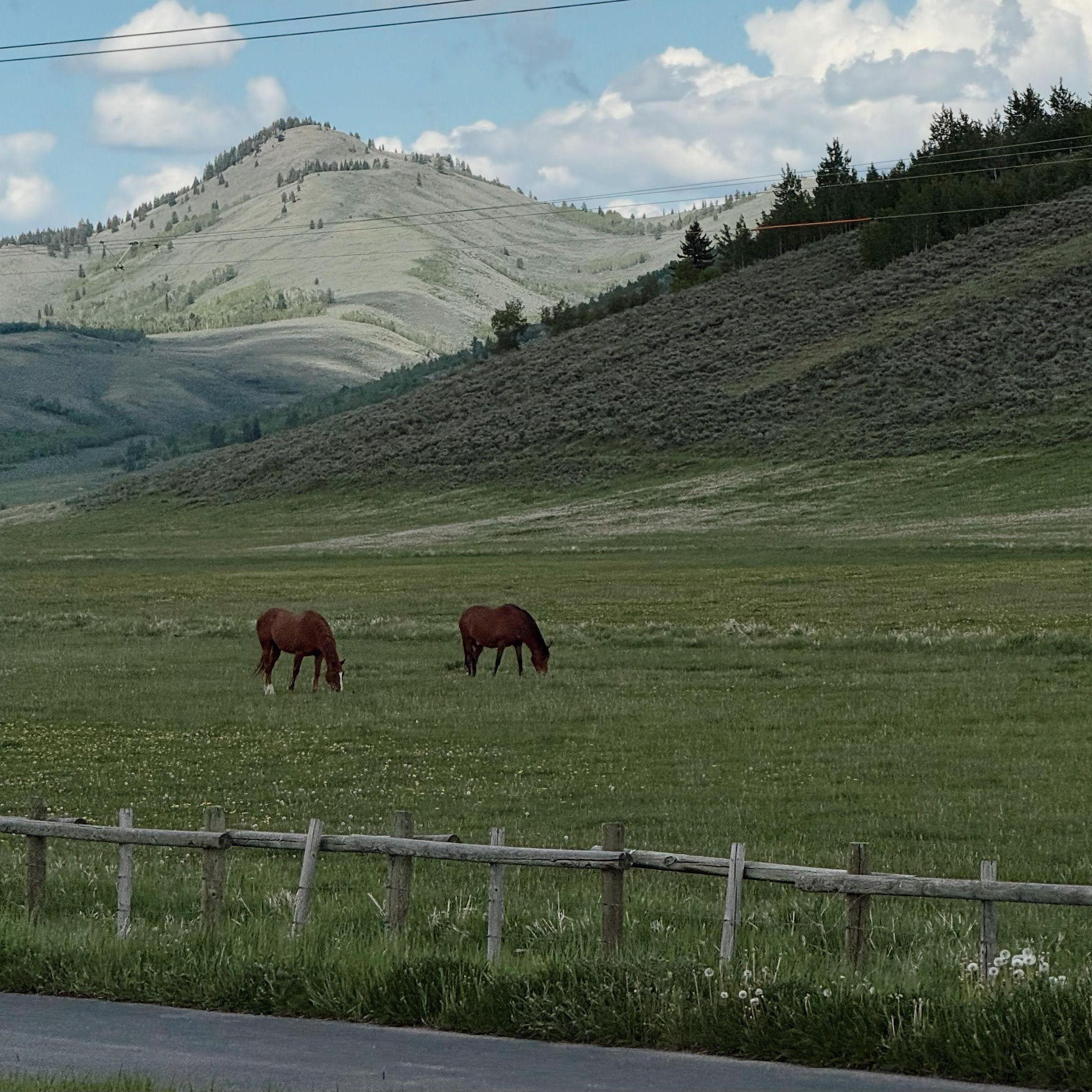 Heading towards Jackson Hole!