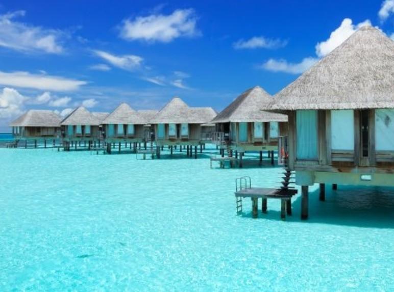 51dc44cd-a517-4499-a9b5-a36103f0c016