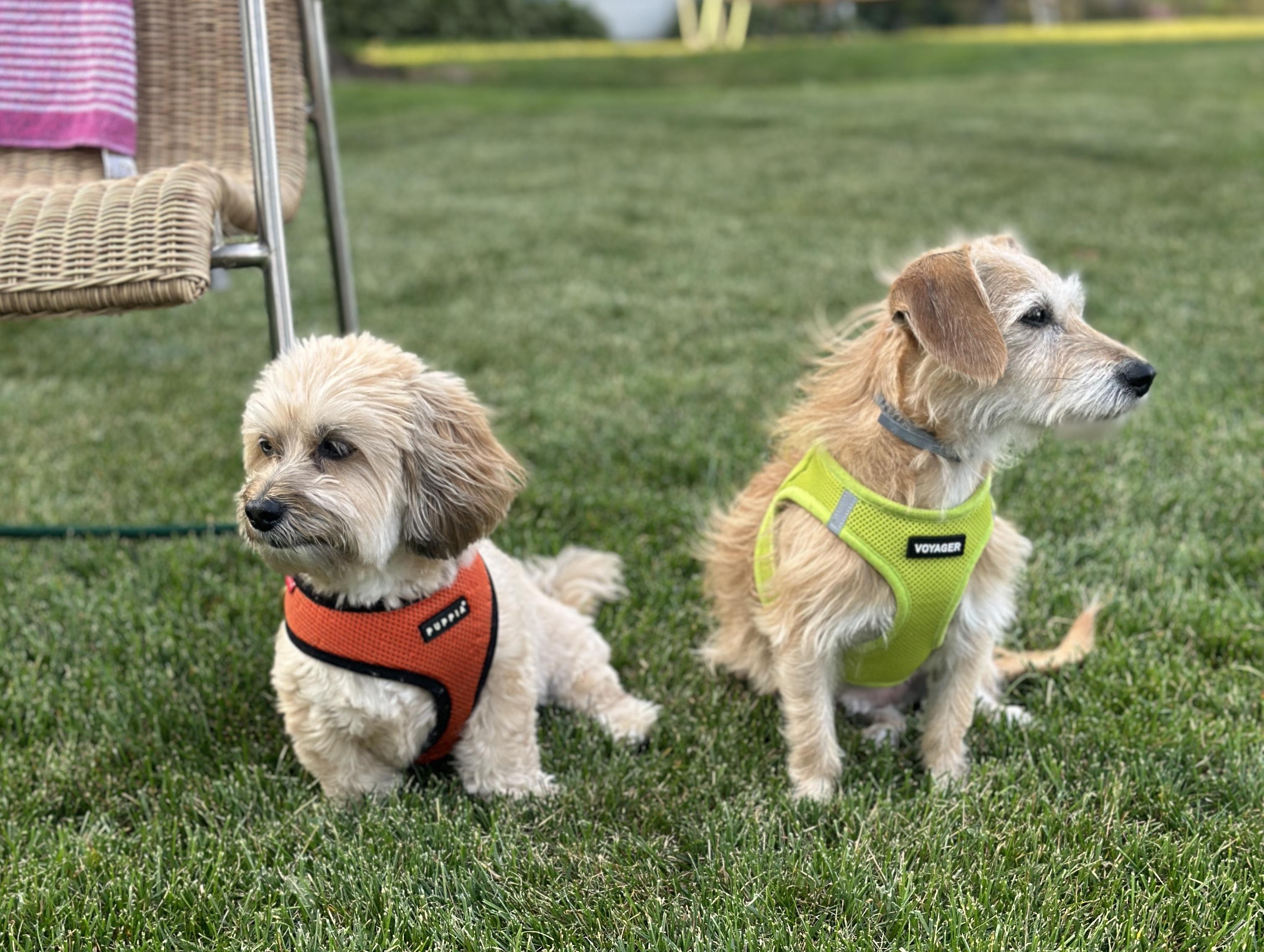 51dcef4f-c4c3-4743-96e8-985376316490