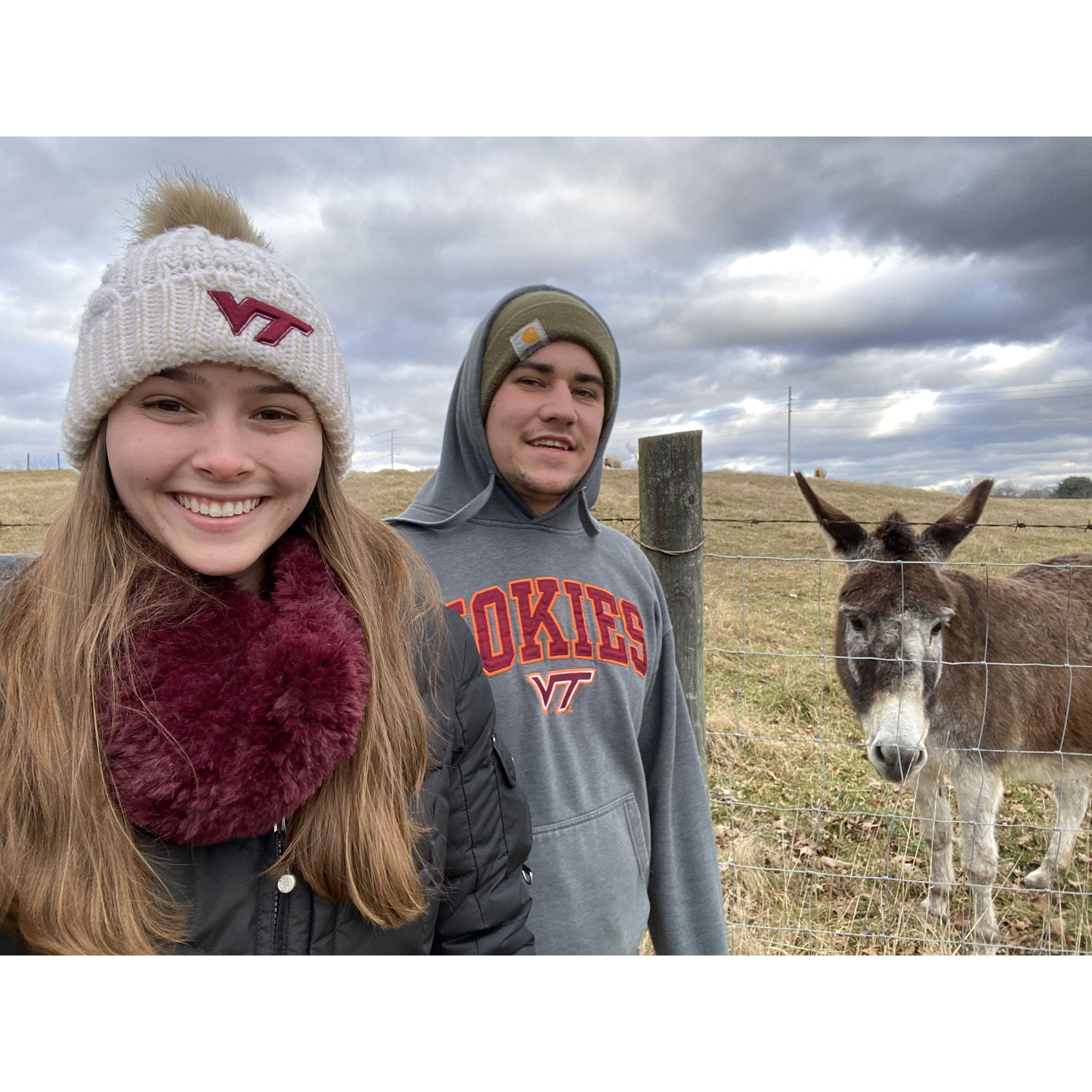 January 18, 2021: One of our many walks around Foxridge in Blacksburg