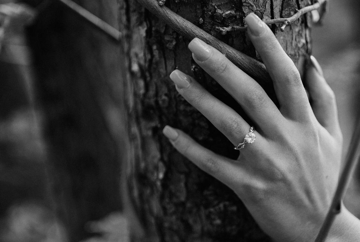 The Wedding Website of Emma Watson and Lucas Powell